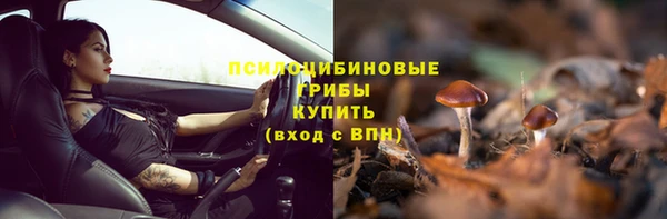 каннабис Белокуриха