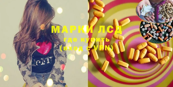 apvp Новозыбков